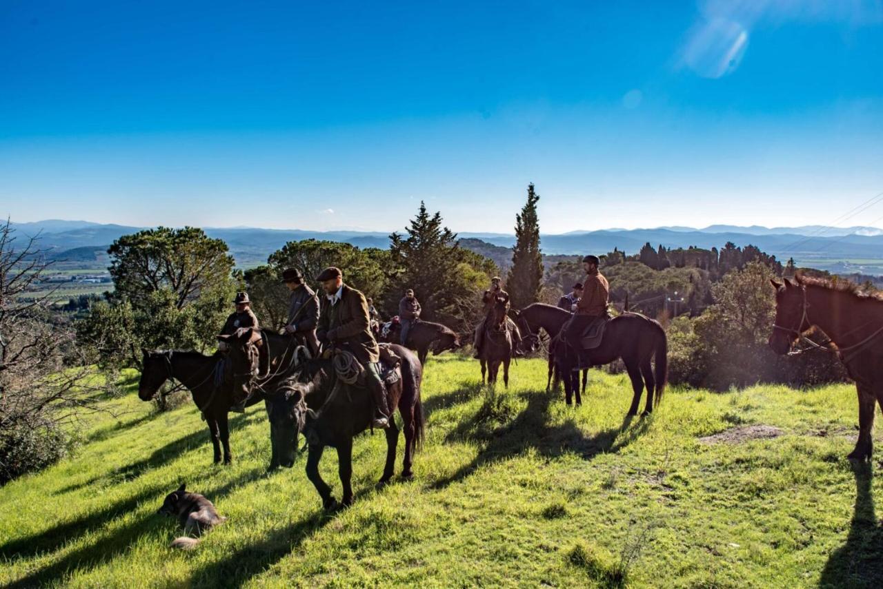 Bed and Breakfast Essenziale Castell'Anselmo Экстерьер фото